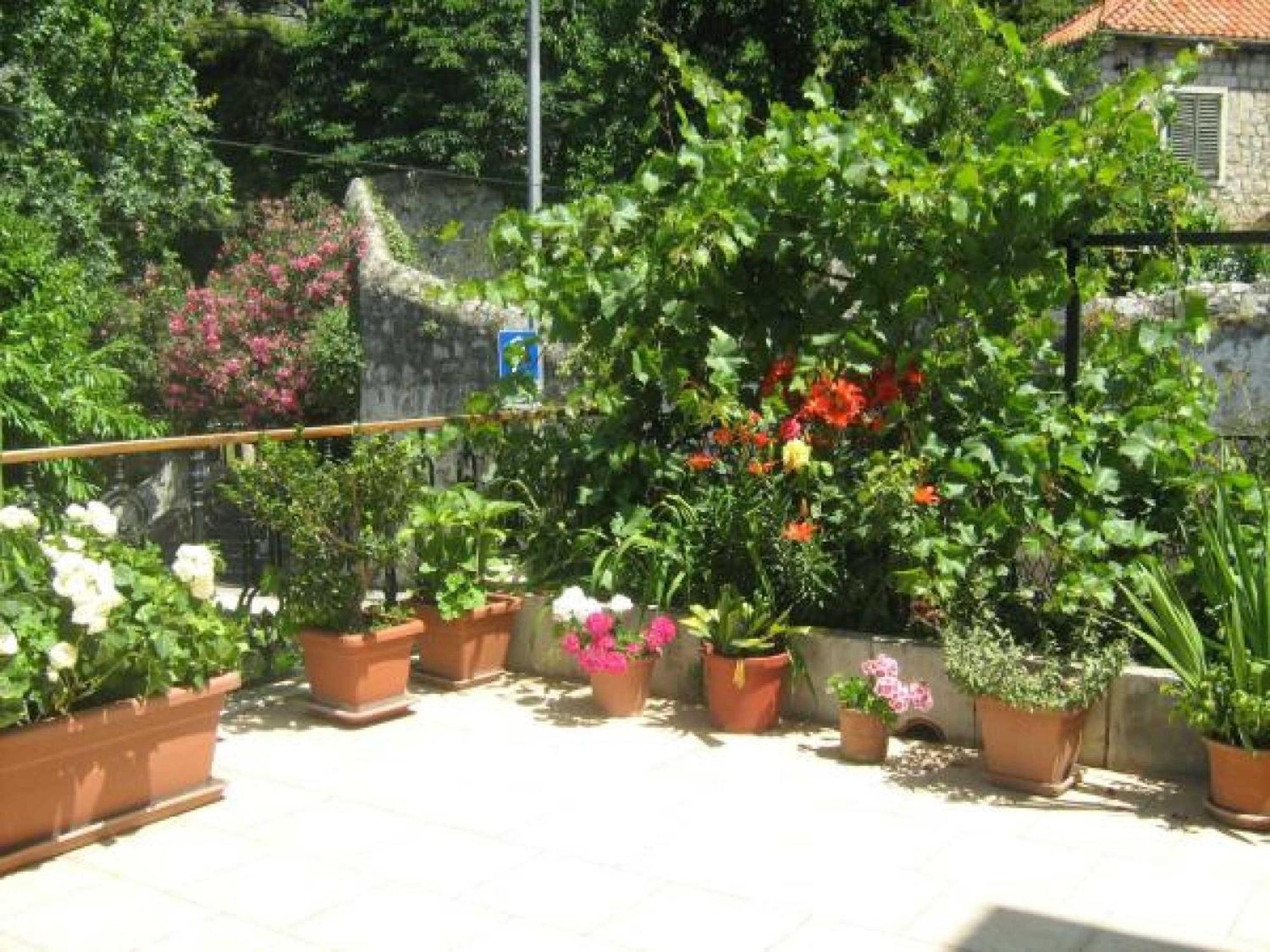 House Boninovo (Adults Only) Hotel Dubrovnik Cameră foto